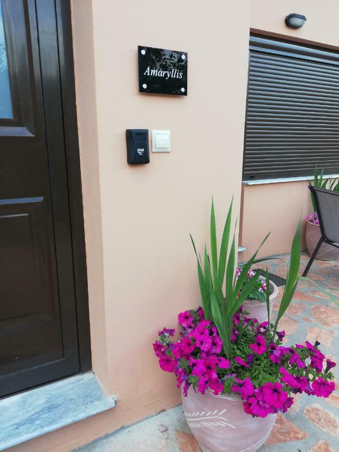 Dimitra - Loft Apartments Corfu  Dış mekan fotoğraf